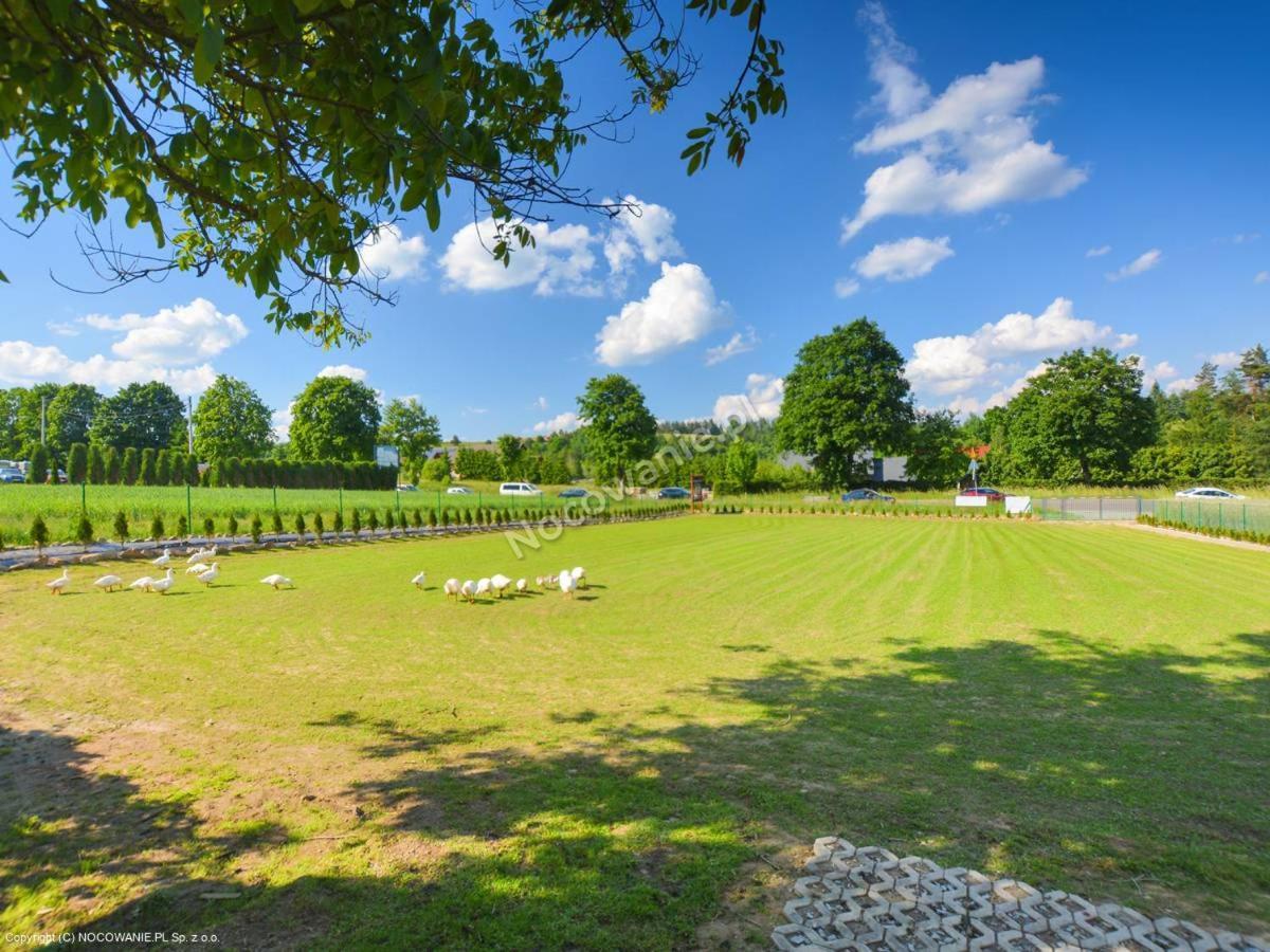 Villa Bieszczadzki Krakowiak 575-894-584 Lub 535-595-732 Polańczyk Exterior foto